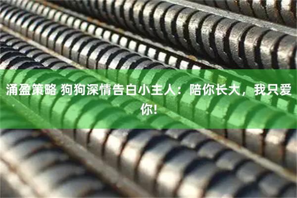 涌盈策略 狗狗深情告白小主人：陪你长大，我只爱你!