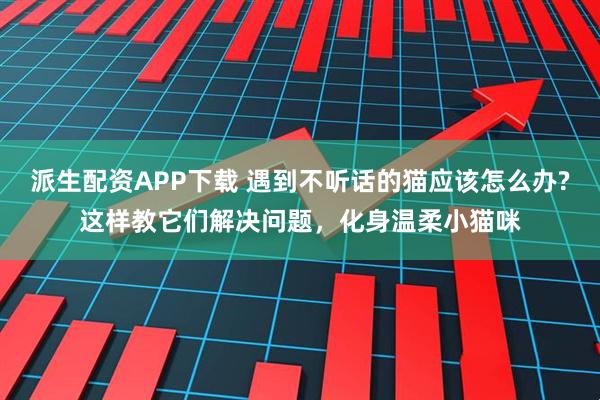 派生配资APP下载 遇到不听话的猫应该怎么办?这样教它们解决问题，化身温柔小猫咪